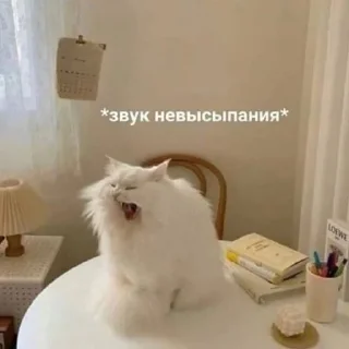 Стикер Маринад - 3