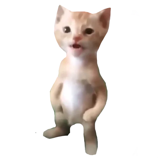 кошки малого и среднего размера домашняя кошка кошка