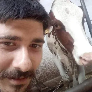 Sticker alcobaza - 5