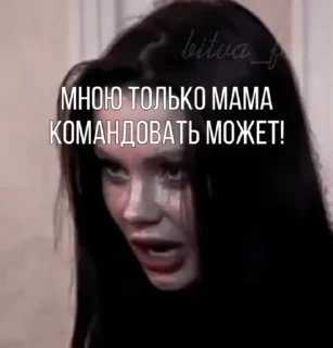 Стикер АЛЕК ШВЕПС - 0