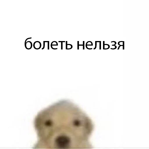 пес - 