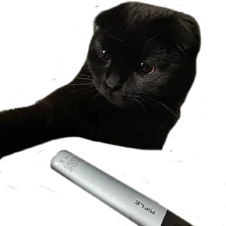 Sticker Алестер - 1