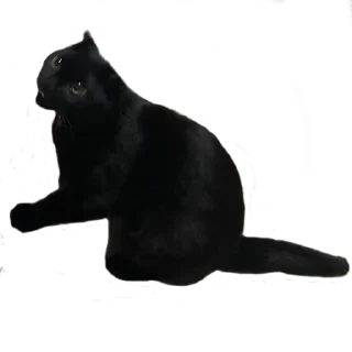 Sticker Алестер - 5