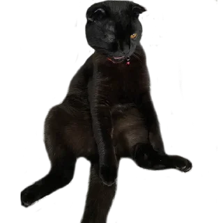 Sticker Алестер - 3