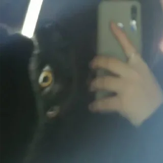 Sticker Алестер - 4