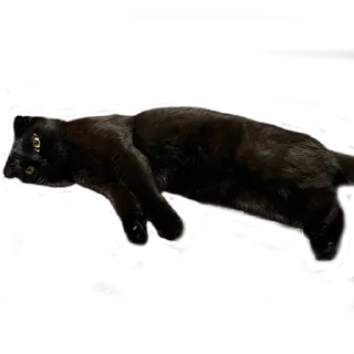 Sticker Алестер - 10