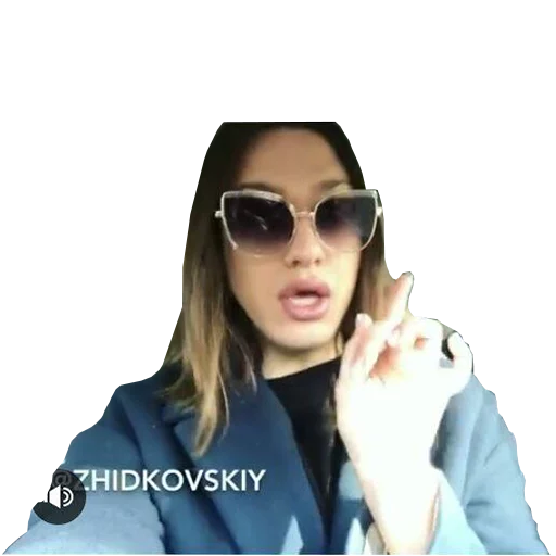 Sticker ZHIDKOVSKIY - 10