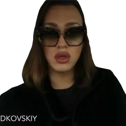 Sticker ZHIDKOVSKIY - 7