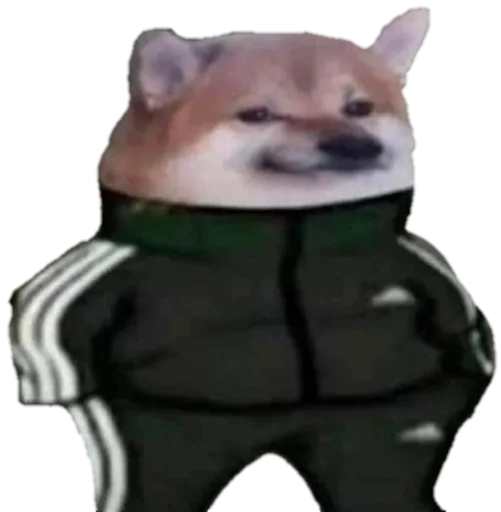 мультфильм комнатный .jar