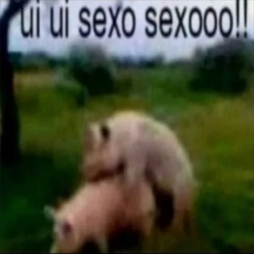 млекопитающее животное СМС