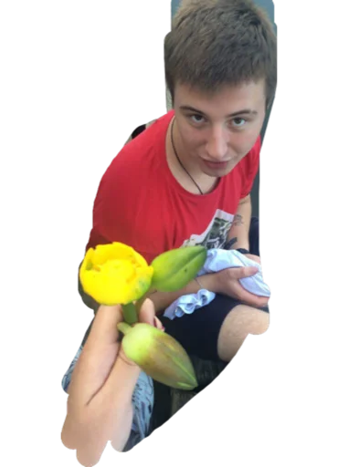 Sticker Альфонс Володя - 6