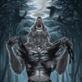 Sticker я ненавижу аль хайтама - 10