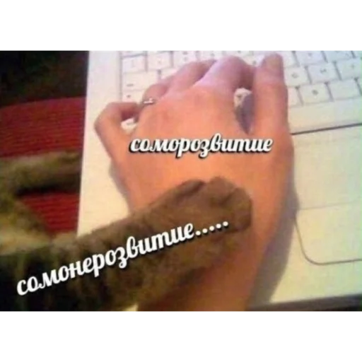 Стикер Алисаэточто - 7