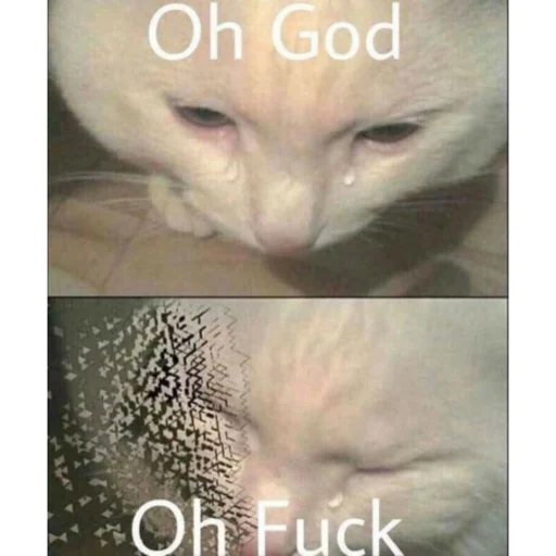 Стикер Алисаэточто - 1