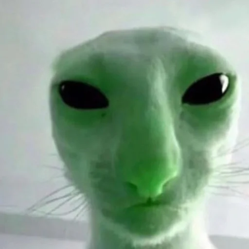 Sticker alien_cats_by_chucha - 1