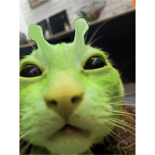 Стикер alien_cats_by_chucha - 1