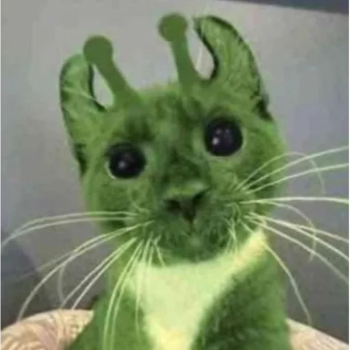 Sticker alien_cats_by_chucha - 1