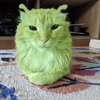 Sticker 👽 alien cats 🐈‍⬛️ by чуча - 5