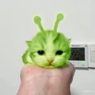 Sticker 👽 alien cats 🐈‍⬛️ by чуча - 3