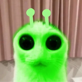 Sticker 👽 alien cats 🐈‍⬛️ by чуча - 10
