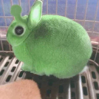 Sticker 👽 alien cats 🐈‍⬛️ by чуча - 11