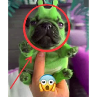 Sticker 👽 alien cats 🐈‍⬛️ by чуча - 2