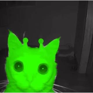 Sticker 👽 alien cats 🐈‍⬛️ by чуча - 6