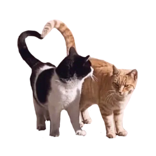 Sticker aliixnax - 1