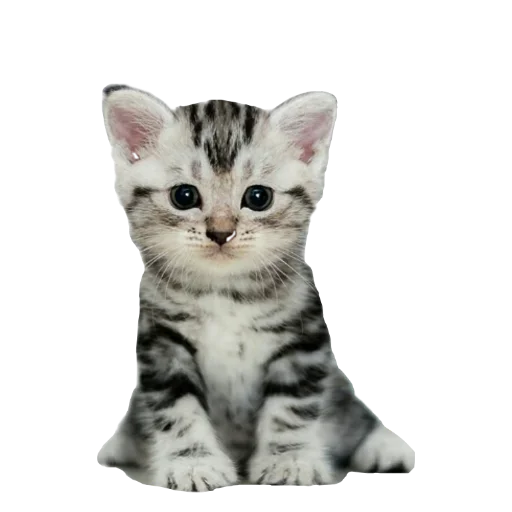 Стикер aliixnax - 1