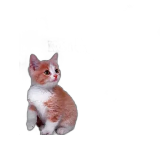 Стикер алинчик тип - 2