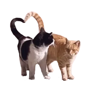 Стикер алинчик тип - 6