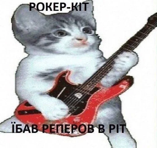 музыкальный инструмент кошка СМС