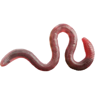 Стикер Alin's humor - 0