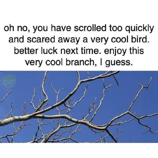 Стикер Alin's humor - 4