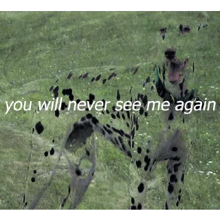 Стикер Alin's humor - 6