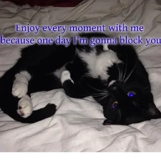 Стикер Alin's humor - 7