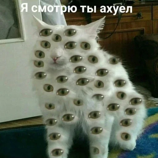 Sticker alisakotiks - 1