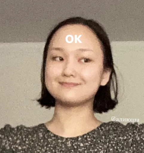 Стикер дурак - 2