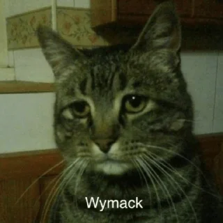 Sticker всё ради игры мемы - 2