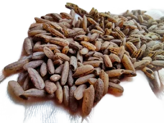 Sticker Сообщество Любителей Плова @all_pilaf - 8