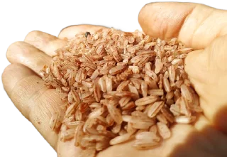 Sticker Сообщество Любителей Плова @all_pilaf - 1