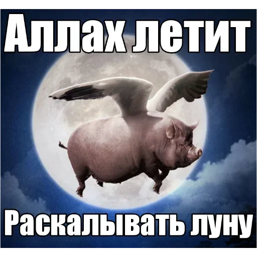 СМС животное плакат