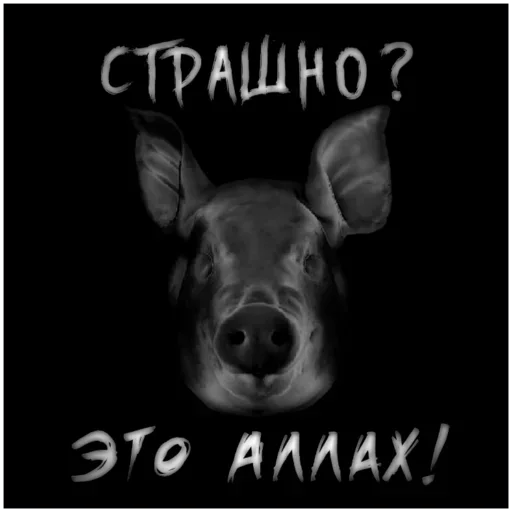 животное млекопитающее рыло