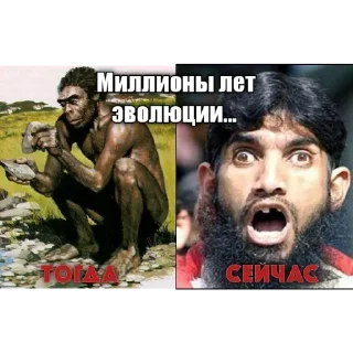 СМС человеческое лицо мужчина