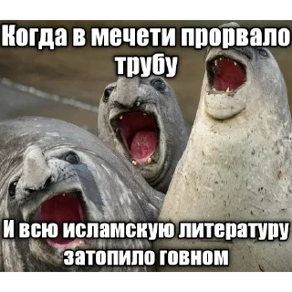 животное млекопитающее водные млекопитающие