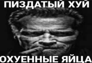 Стикер 🐽🍆@indumpkrutoi1488 - 2