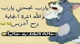 Стикер 🐽🍆@indumpkrutoi1488 - 9