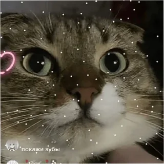 Sticker allinnka.aa - 1