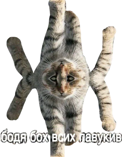 Стикер всякие жмыхи @allzhmykh - 3