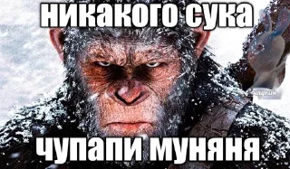 Стикер Кирюшины фотокарто4ки - 9